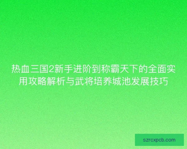 热血三国2新手进阶到称霸天下的全面实用攻略解析与武将培养城池发展技巧