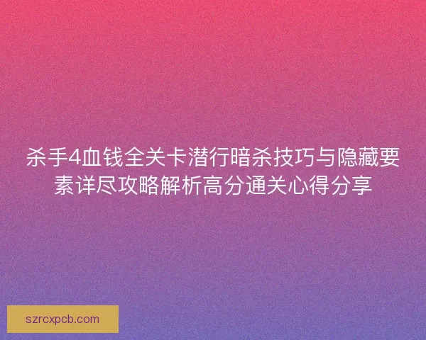 杀手4血钱全关卡潜行暗杀技巧与隐藏要素详尽攻略解析高分通关心得分享