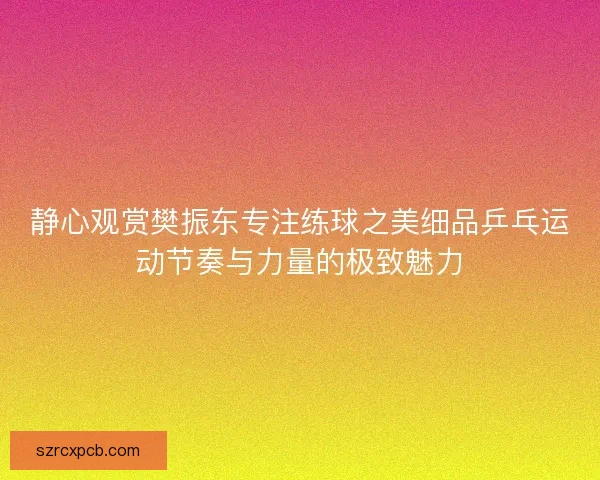 静心观赏樊振东专注练球之美细品乒乓运动节奏与力量的极致魅力