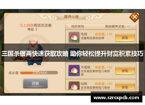 三国杀银两快速获取攻略 助你轻松提升财富积累技巧